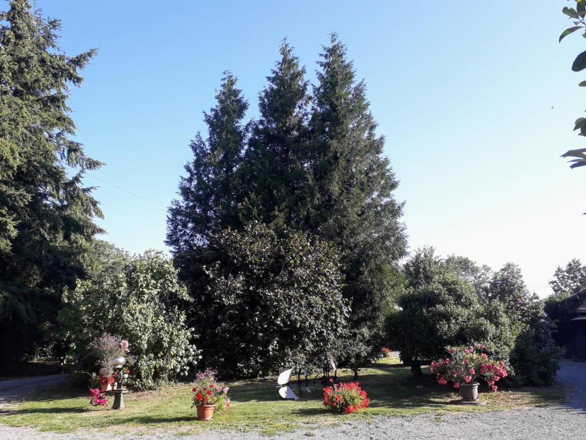 Bed and Breakfast La Ferme Des Tertres La Chapelle-pres-Sees Exterior foto